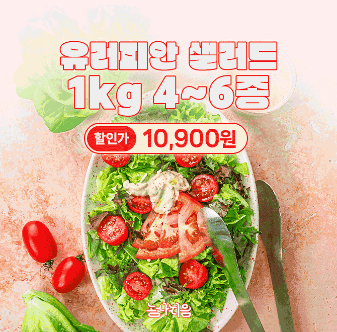 유러피안 샐러드 채소는 성장에 필요한 영양분이 풍부한 물을 뿌리와 줄기에 뿌려 성장시키는 과학적이고 친환경적...