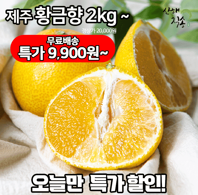 단 하루동안 진행되는 캐시딜 타임특가에서 산해직송 제주 황금향 2kg가 역대급 할인으로 OOOO원+무료배송에 진행...