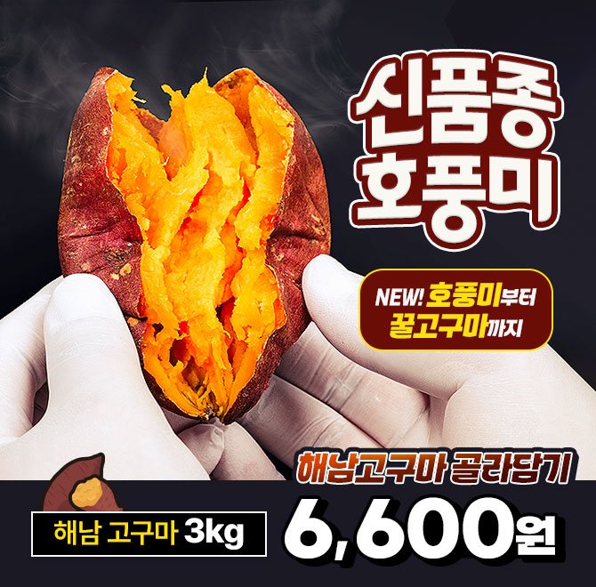 단 하루동안 진행되는 캐시딜 타임특가에서 해남 햇 꿀고구마가 역대급 할인으로 OOOO원+무료배송에 진행됩니다. ...