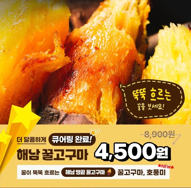 단 하루동안 진행되는 캐시딜 타임특가에서 [품질보장]24년 해남 햇 꿀고구마 신품종 호풍미 2kg 3kg 5kg가 역대급...