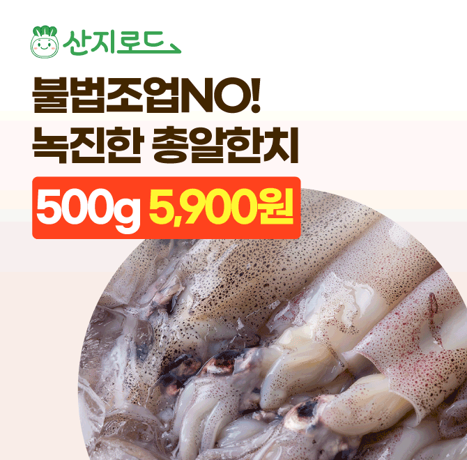 총알한치 500g OOOO원겨울이 제일 맛있는부드럽고 쫄깃한 식감녹진한 내장이 일품!