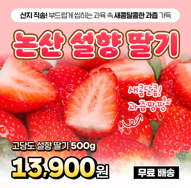 단 1시간 동안 진행되는 캐시딜 타임특가에서 산지직송 논산 설향딸기가 역대급 할인으로 OOOOO원+무료배송에 진행...