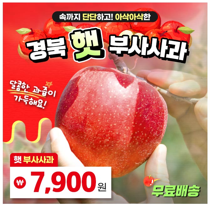 단 1시간 동안 진행되는 캐시딜 타임특가에서 산지직송 꿀 부사사과가 역대급 할인으로 OOOO원+무료배송에 진행됩...