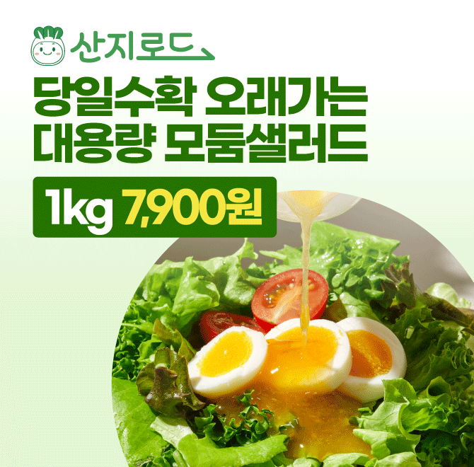 유럽 샐러드 채소1kg OOOO원무농약으로 건강하게 재배수분가득 신선한 상태그대로당일수확 당일발송!
