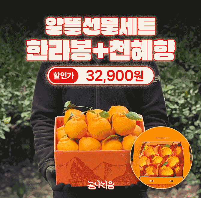 단 1시간 동안 진행되는 캐시딜 타임특가에서 만감류세트가 역대급 할인으로 OOOOO원+무료배송에 진행됩니다. 시원...