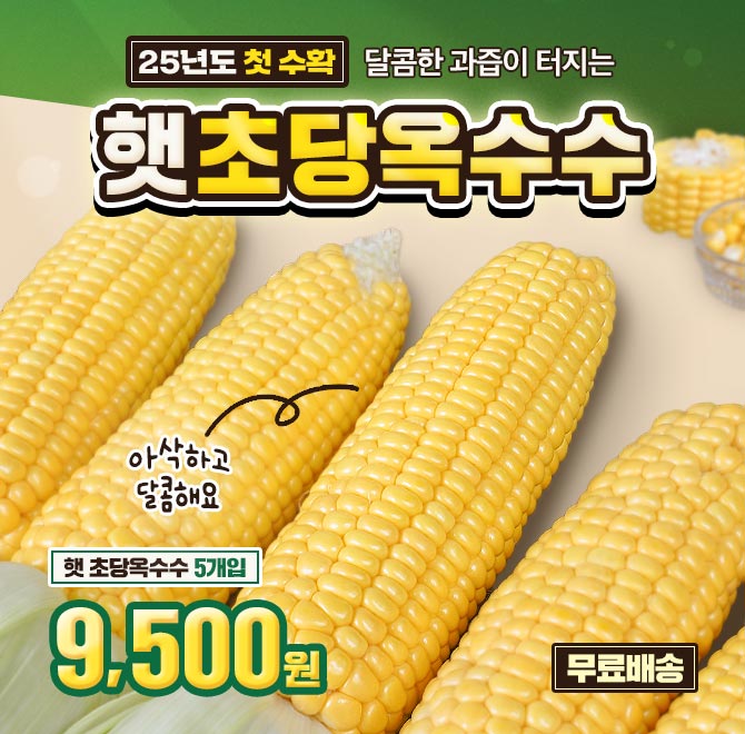 단 1시간 동안 진행되는 캐시딜 타임특가에서 산지직송 햇 초당옥수수를 역대급 할인으로 OOOO원+무료배송에 진행...