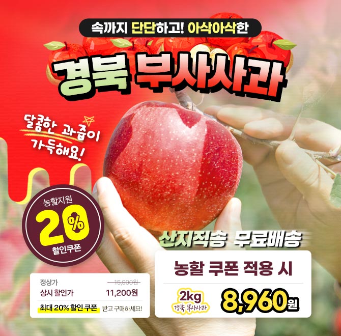 단 1시간 동안 진행되는 캐시딜  타임특가에서 달콤한 경북 부사사과를 역대급 할인으로 OOOO원+무료배송에 진행됩...