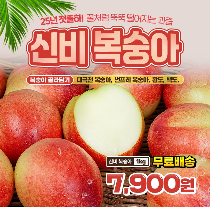 단 1시간 동안 진행되는 캐시딜 타임특가에서 과즙폭발 고당도 신비복숭아를 역대급 할인으로 OOOO원+무료배송에 ...