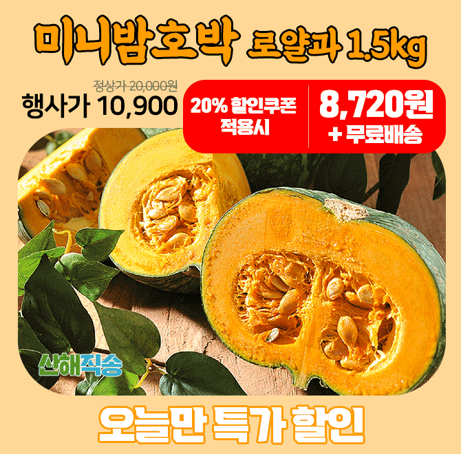 단 하루동안 진행되는 캐시딜 타임특가에서 산해직송 제주 미니밤호박 1.5kg 로얄과가 역대급 할인으로 OOOO원+무...