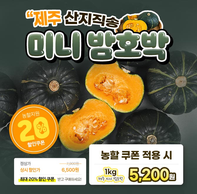 단 1시간 동안 진행되는 캐시딜  타임특가에서 포슬포슬 제주 밤호박을 역대급 할인으로 OOOO원+무료배송에 진행됩...