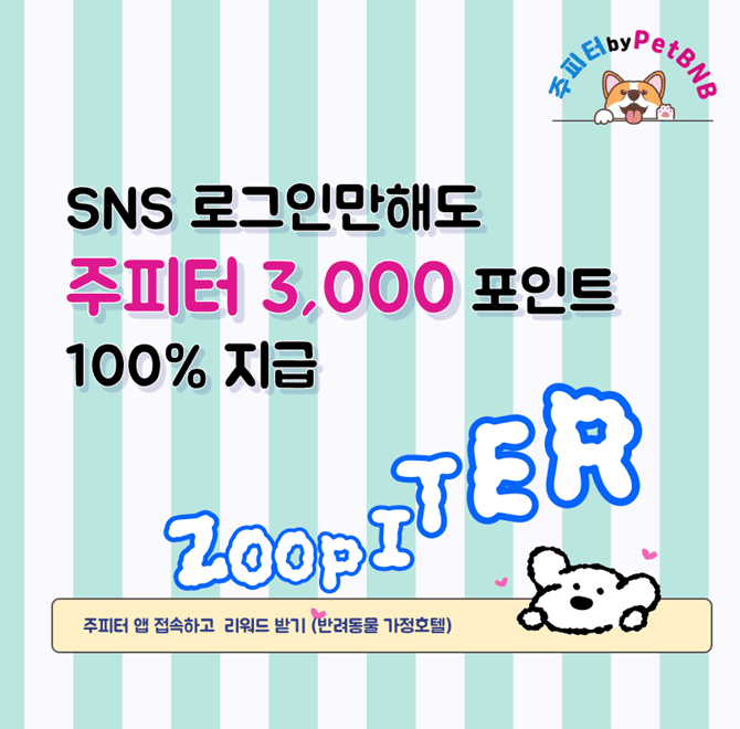 반려동물 돌봄이와 이웃 보호자를 연결하는 주피터(Petbnb) 앱! 여행·출근·외출 시 믿고 맡길 수 있는 돌봄 서비스...
