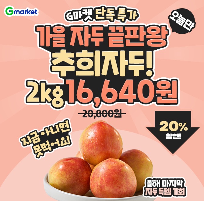 G마켓 단독특가! 오늘만 추희자두 2KG 16,640원!올해 마지막 자두라 지금 아니면 못먹어요입안가득 새콤달콤 퍼지...
