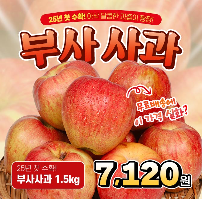 단 1시간 동안 진행되는 캐시딜 타임특가에서 경북 햇 부사사과를 역대급 할인으로 OOOO원+무료배송에 진행됩니다....